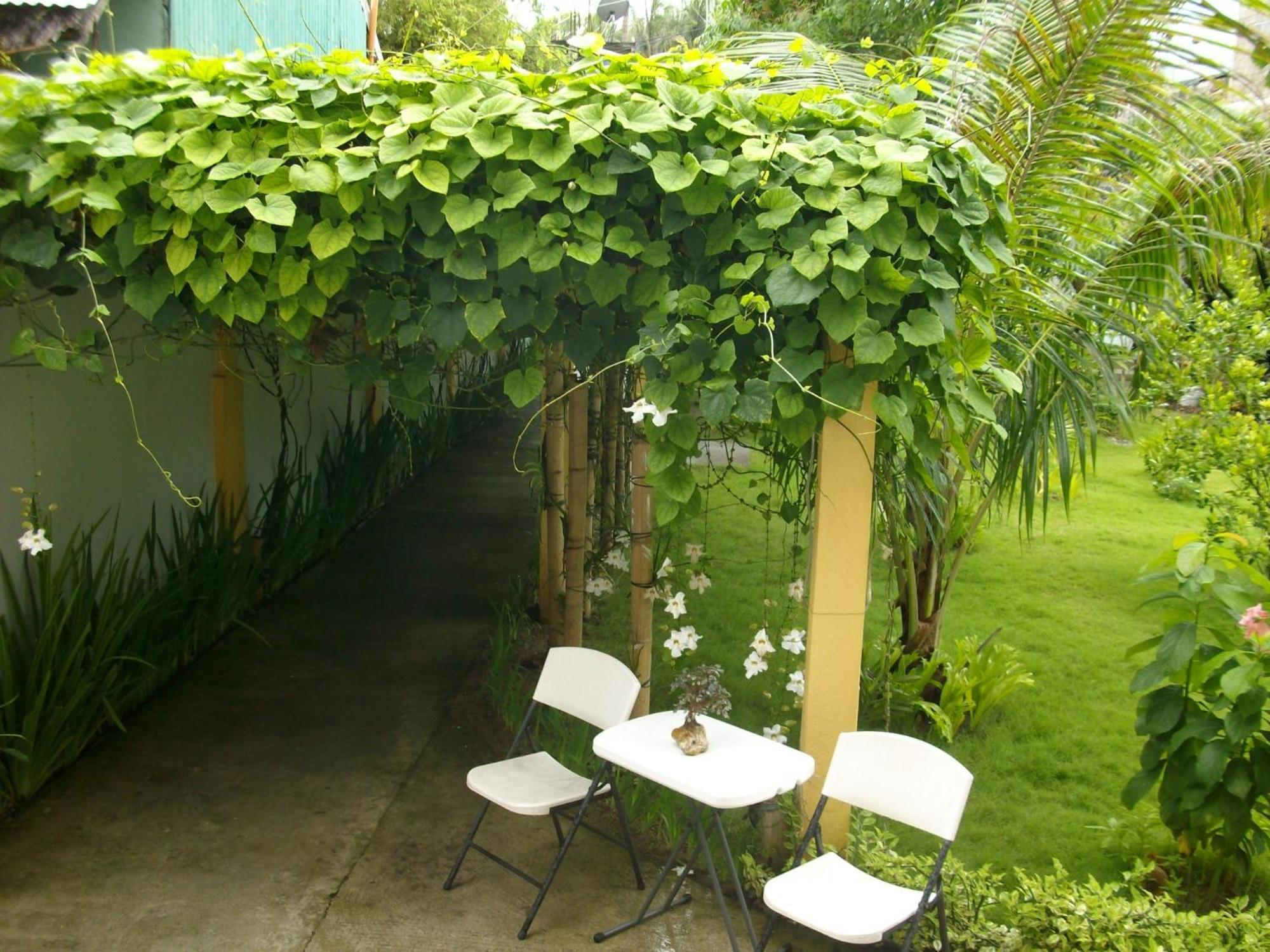 Greenyard Inn Manoc-Manoc Exterior foto